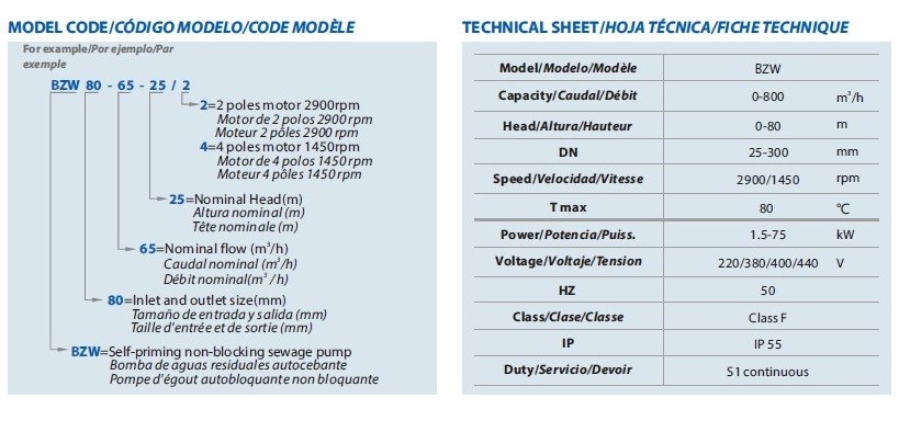 Pompa samozasysająca do nawadniania BZWM50-10-20/2, 2,2kW, 2900