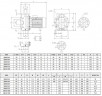 Pompa ze stali nierdzewnej do chłodni kominowej NX40/200 (125), 1,5 kW, 42 m3/h, 20m, 220V/M, AISI 304 (EBARA 3M 40-125/1.5)