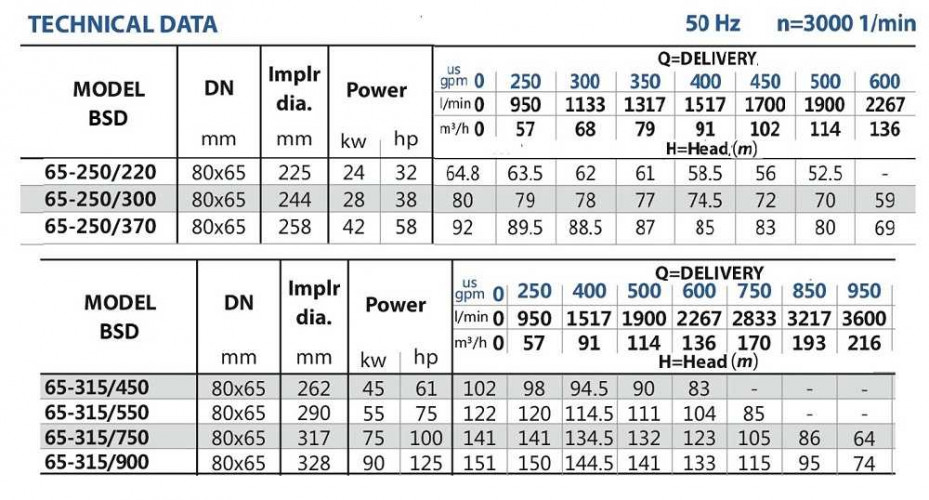 Przepompownia do nawadniania BSD 65-315/550