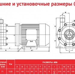 ADM 10 PP/TF/0.75HP/2800RPM pompa ze sprzęgłem magnetycznym