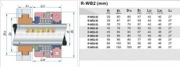 Uszczelnienie pompy R-WB2R 30, SIC/SIC, PTFE, 304