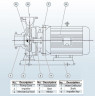 Pompa przeciwwybuchowa BGWB 50-160(I) (25/32), 4kW, 2880, Ex