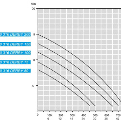Odpływowa pompa zanurzeniowa BE 80 316 DERBY 200, 220V
