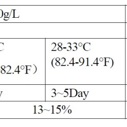 Drożdże alkoholowe Angel active dry yeast GH (Angel Turbo GH), opakowanie - 10 kg