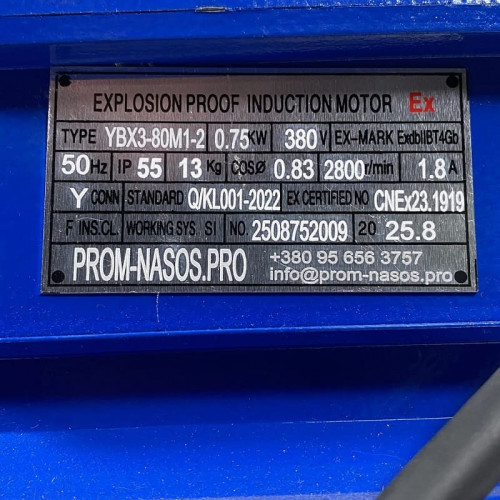 Pompa zębata ze stali nierdzewnej do pompowania benzyny WCB-75/380V 50Hz, 75 l/min, 30 m, AISI 304, 0,75 kW, 2900 obr./min, Ex