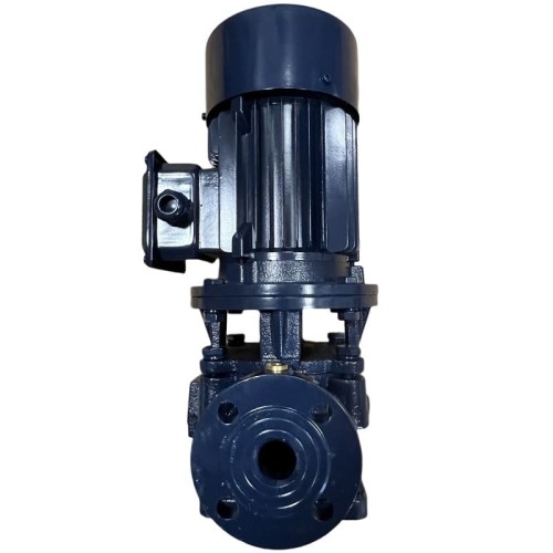 IRG BGL 25-125 (4/20), 0,75kW, 2880 odśrodkowa pompa pionowa