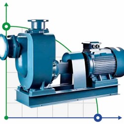 Samozasysająca pompa lagunowa BZWM50-20-40/2, 7,5kW, 2900