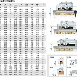 Uszczelnienie wału pompy R-MG13 60, SIC/SIC, EPDM, 304, G60