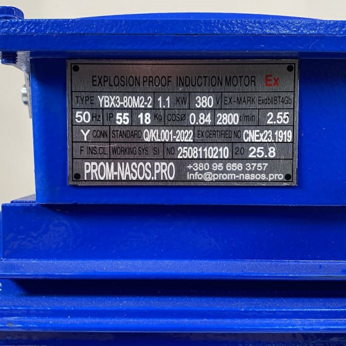 Pompa zębata ze stali nierdzewnej do przesyłu nafty WCB-100/380V 50Hz, 100 l/min, 30 m, AISI 304, 1,1 kW, 2900 obr./min, Ex