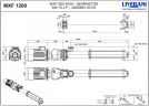 Pompa śrubowa ze stali nierdzewnej do podawania pokrojonych owoców i warzyw LIVERANI MXF1200 TF 15 kW, 242 obr./min, 380 V, AISI 304