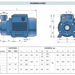 Pompa wirowa Pedrollo PKSm 65