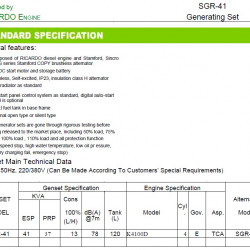Przemysłowy generator diesla SOYGEN SG41R z ATS i silnikiem Ricardo 41kVA, 33kW, 380V/50HZ typ zamknięty