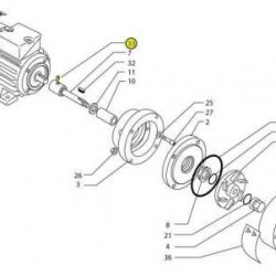 Kołek do pompy Debem MB, M6x10