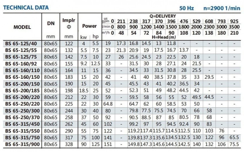 Pompa konsolowa do nawadniania BSM 65-250/220 (90/58,5), 22kW, 2900
