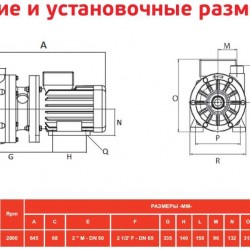 ADH 160 PP/A/10HP/TF/2800/BSP - poziomy pompa odśrodkowa