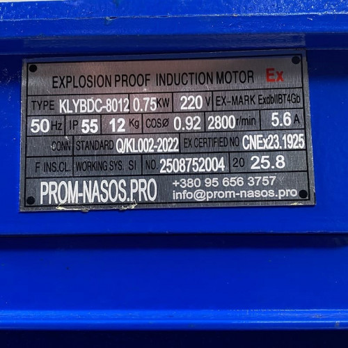 Pompa zębata ze stali nierdzewnej do pompowania oleju roślinnego WCB-75/220V 50Hz, 75 l/min, 30 m, AISI 304, 0,75 kW, 2900 obr./min, Ex