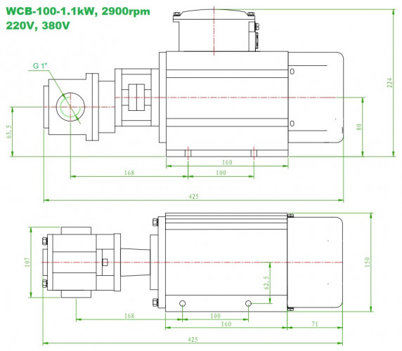 Pompa zębata ze stali nierdzewnej do oleju napędowego WCB-100/220V 50Hz, 100 l/min, 30 m, AISI 304, 1,1 kW, 2900 obr./min, Ex