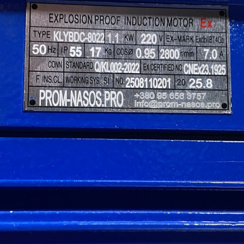 Pompa zębata ze stali nierdzewnej do oleju napędowego WCB-100/220V 50Hz, 100 l/min, 30 m, AISI 304, 1,1 kW, 2900 obr./min, Ex