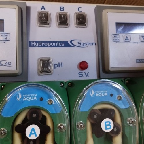 Hydroponika, system hydroponiczny HYDROPONIC SYSTEM