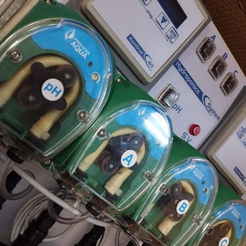 Hydroponika, system hydroponiczny HYDROPONIC SYSTEM