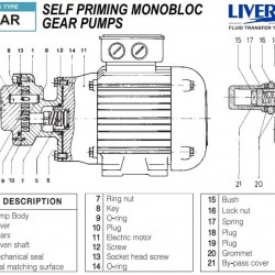 Pompa zębata do pompowania oleju słonecznikowego LIVERANI GEAR 4-G MF 0,18 kW, 1400 obr./min, 220 V