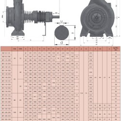 Pompa oleju termalnego do podgrzewania asfaltu EMSE EKY 100-250, 90 kW, 2900 ze sprzęgłem na ramie, bez silnika