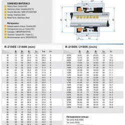 Uszczelnienie pompy R-2100K 12, CAR/SIC, EPDM, 304