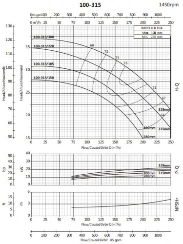 Pompa wspornikowa do zaopatrzenia w wodę BS4 100-315/220 (150/29), 22kW, 1450 bez silnika