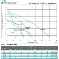 Pompa do brzeczki z otwartym wirnikiem TS100, 0,75 kW, AISI 304, 220 V/50 Hz, 2900 obr./min