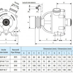 Pompa wirowa morska LIVERANI NAUTIC 30, 75 l/min, brąz, bez silnika
