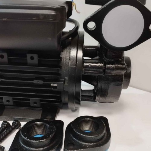 Pompa olejowa wirowa WM-05S, 220V -30°C+200°C