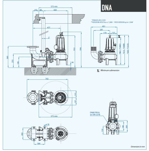 Pompa zanurzeniowa Dreno DNA 80-2 /110 T z wirnikiem wirowym
