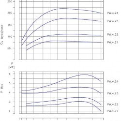 PW.4.22.1.1110 pompa próżniowa dwustopniowa