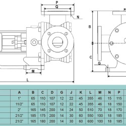 Pompa zębata do melasy, czekolady EMSE EDP-I 1 cal, 1,75-3,2 m3/h z przekładnią wewnętrzną, bez silnika