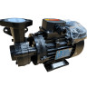 Pompa olejowa wirowa WM-10, 380V -30°C+200°C