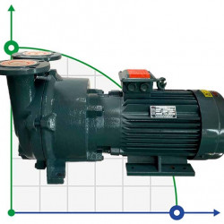 Pompa próżniowa 2BV5121 (AISI 316)