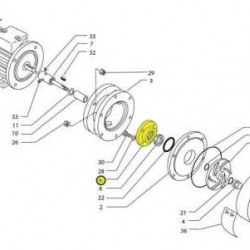 Kołnierza pompy PP MB