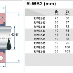 Uszczelnienie pompy R-WB2T 45, SIC/SIC, PTFE, 304