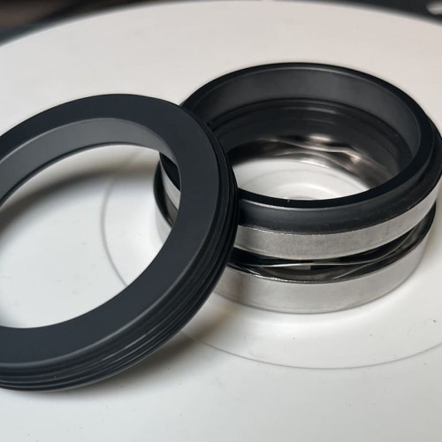 Uszczelnienie mechaniczne pompy ABS R-1577 65, SIC/SIC, VITON, 304, G60