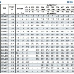 Pompa konsolowa do nawadniania BS4 100-400/300 (140/42), 30kW, 1450 bez silnika