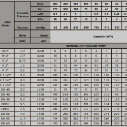 Pompa próżniowa ESV 270/100, AISI 316, 285 m3/h, 7,5 kW, 1450 obr./min do gazów agresywnych