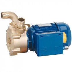 Pompa wirowa z pierścieniem cieczowym do sektora morskiego LIVERANI EP 50 +BY-PASS, 230 l/min, TF/I 1,87 kW, 1400 rpm, 380 V, brąz