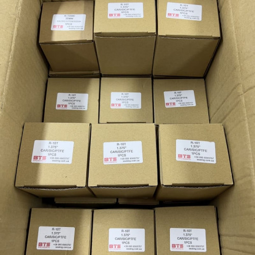 Uszczelnienie pompy R-10T 1, SIC/SIC, PTFE, 304, V