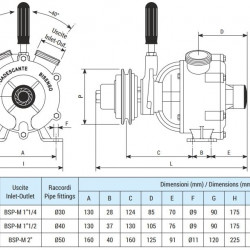 Pompa wirowa z pierścieniem cieczowym do sektora morskiego LIVERANI NAUTIC 30 F, 75 l/min, brąz, ze sprzęgłem ręcznym, bez silnika