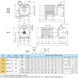 Pompa wirowa morska LIVERANI EP 50 +BY-PASS, 230 l/min, TF/M 1,87 kW, 1400 rpm, 380 V, brąz