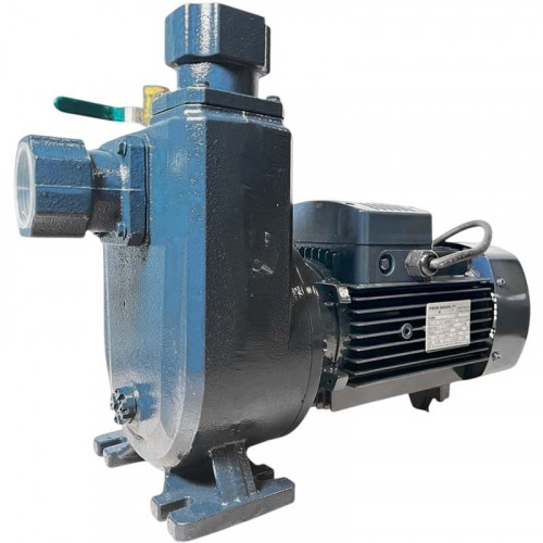 Pompa do ścieków BXZm 18-35-2,2kW, 2900, 220V, imp:AISI 304