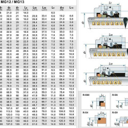 Uszczelnienie pompy R-MG12 75, SIC/SIC, VITON, 304, G60