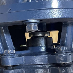 BGLH 80-250(I)A, 55, (93,5/70), 30kW, 2880 pompa ze stali nierdzewnej in-line z tandemowym uszczelnieniem mechanicznym do wywar melasowy, zacieru