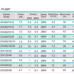 Pompa dwuwirnikowa do pompowania cieczy 2CDC70/110, 1,5 kW, AISI 304, 220 V/50 Hz, 2900 obr./min (typ EBARA 2CDXM 70/15)