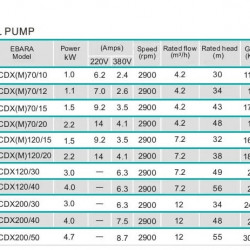 Pompa dwuwirnikowa do pompowania cieczy 2CDC70/110, 1,5 kW, AISI 304, 220 V/50 Hz, 2900 obr./min (typ EBARA 2CDXM 70/15)